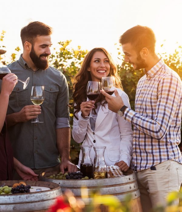 Santorini Wine Tour